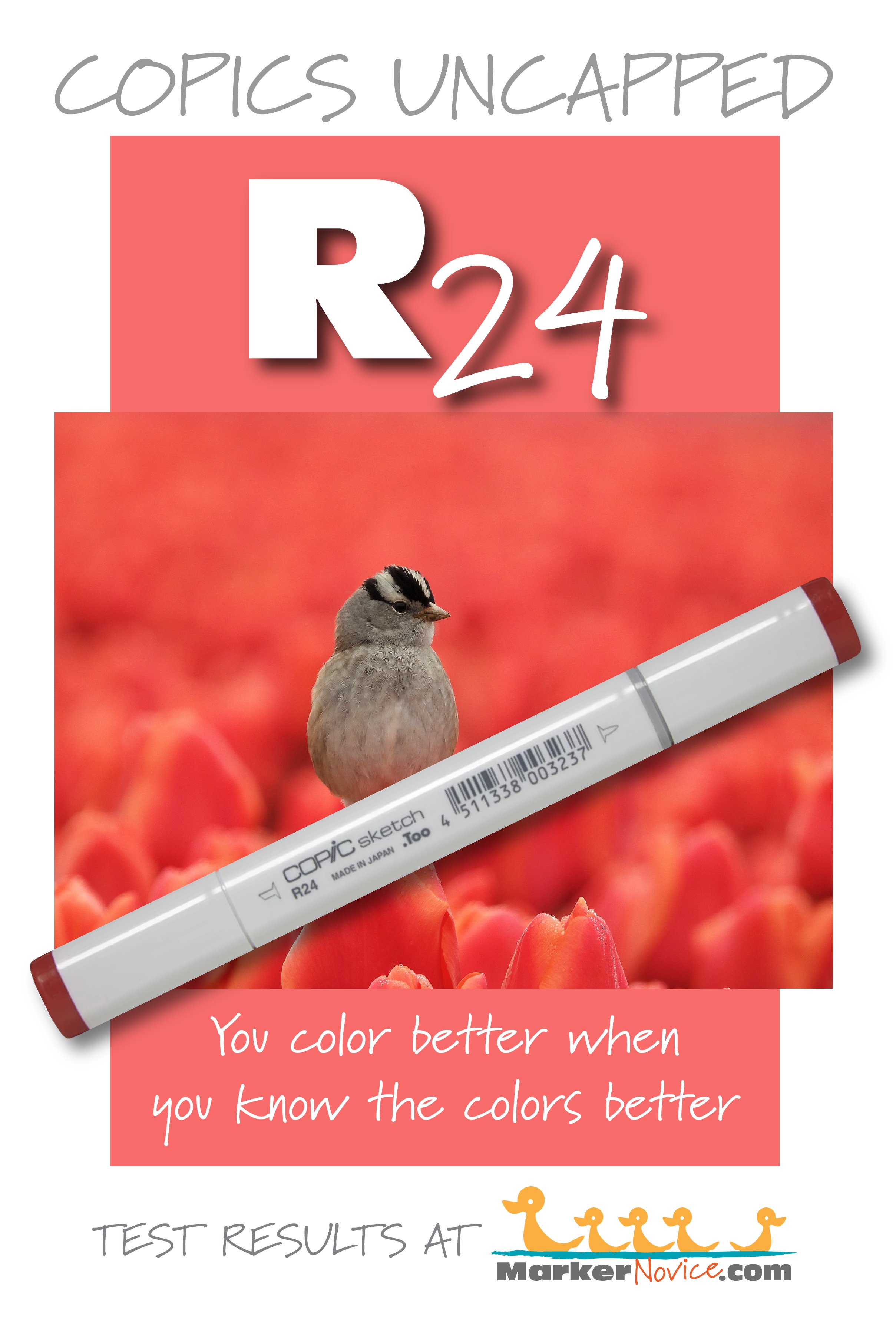 R24 Prawn: Copics Uncapped (Marker Swatch, Ink Testing) — Marker